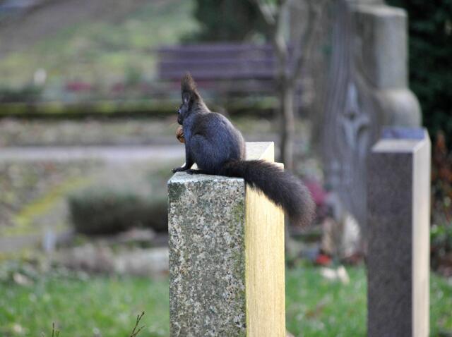 Foto: Daniela Somers