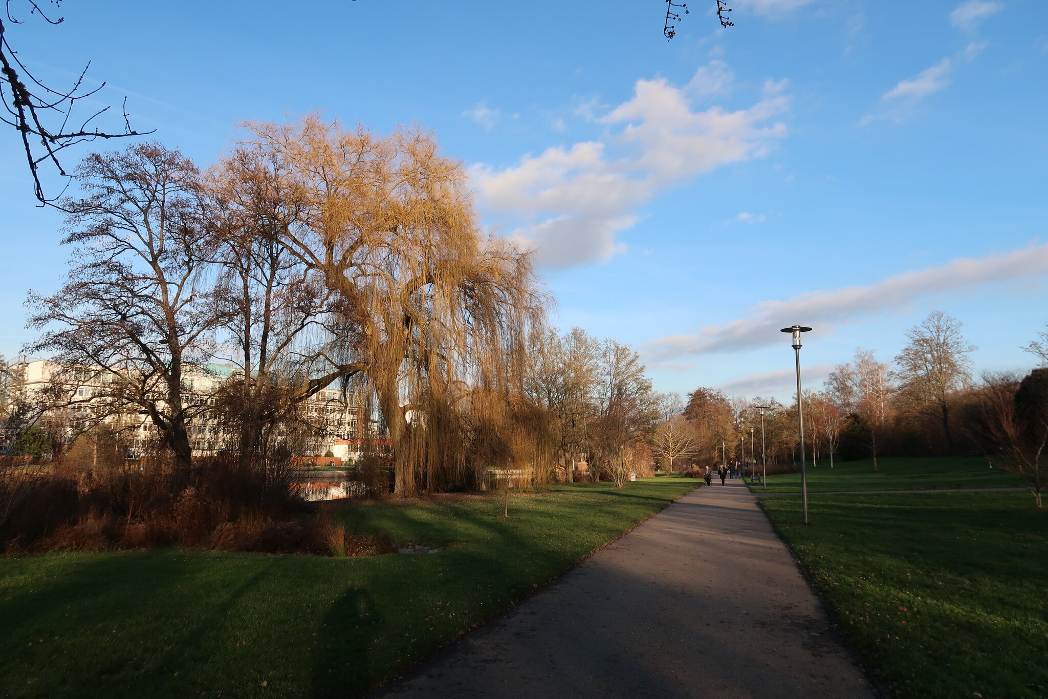 Natur erleben. Kleiner Spaziergang, im Parkgelände von Bad Rappenau