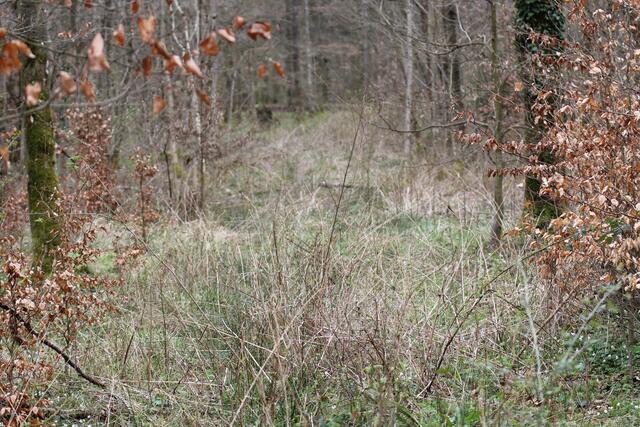 da geht es nicht hinter