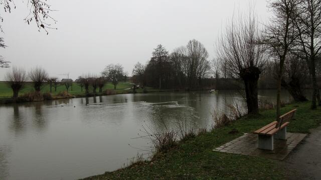 Bis hinüber zum Mühlbachsee nach Untereisesheim, wo es dann tüchtig zu regnen begann, verlief die Tour an diesem Mittwoch, 11. Januar.