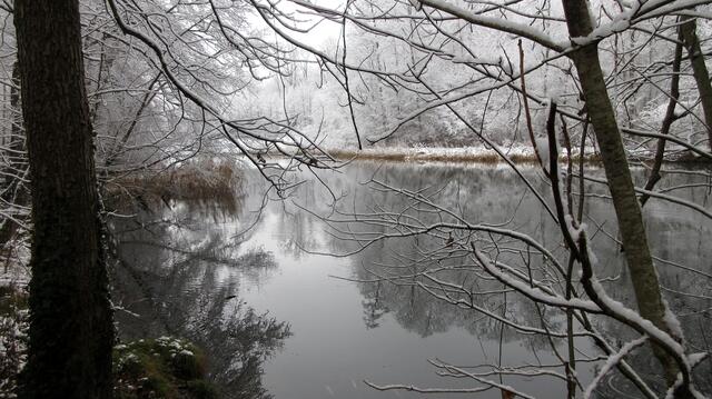 Köpferstausee, alles sieht so friedlich aus