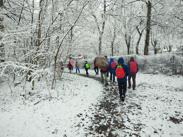 Bunte Zaunläufer um das Gaffenberg-Gelände | Foto: Aurelia Kling