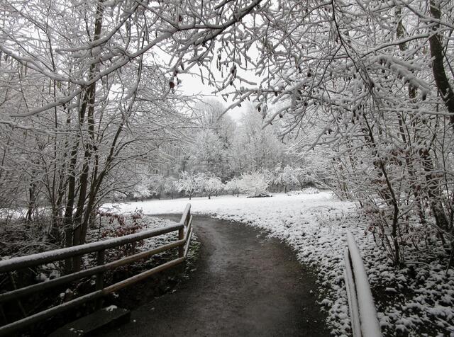 Wiese hintern dem Ehrenfriedhof im frostigen Ambiente