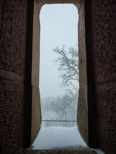 Ausblicke vom Turm | Foto: Aurelia Kling