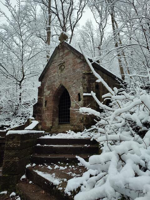 Köpferklause im Auge der Fotografin | Foto: Aurelia Kling