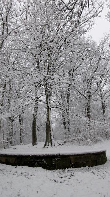 Uhlandslinde im Schnee