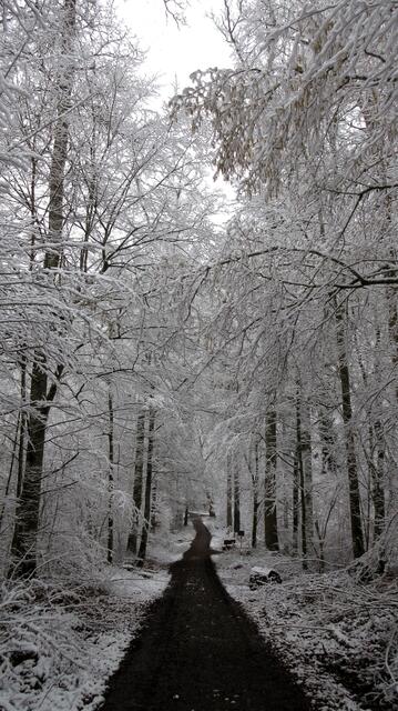Impression aus dem Köpfertal