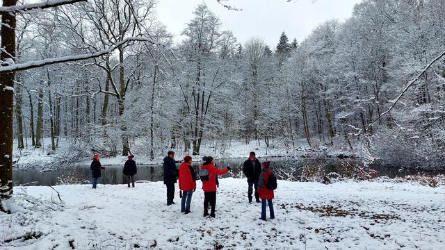 Am Waldweiher