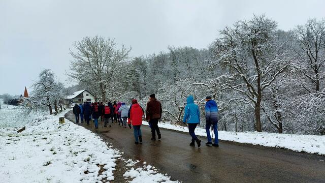 Bergan zum Wald