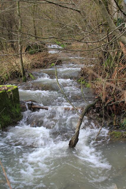 Der Schmiedbach- Wildnis pur😍 | Foto: Ralf Röser