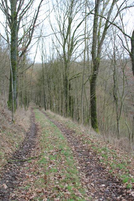 runter in die Klinge zum Schmiedbach | Foto: Ralf Röser