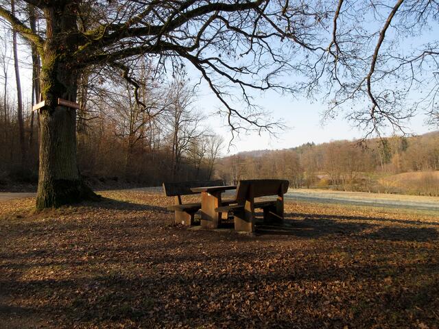 Die Sonne steht noch tief und wirft auch an der Hubertusruhe lange Schatten, doch sie wärmt schon kräftig. 