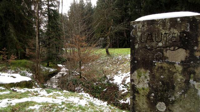 Lauter