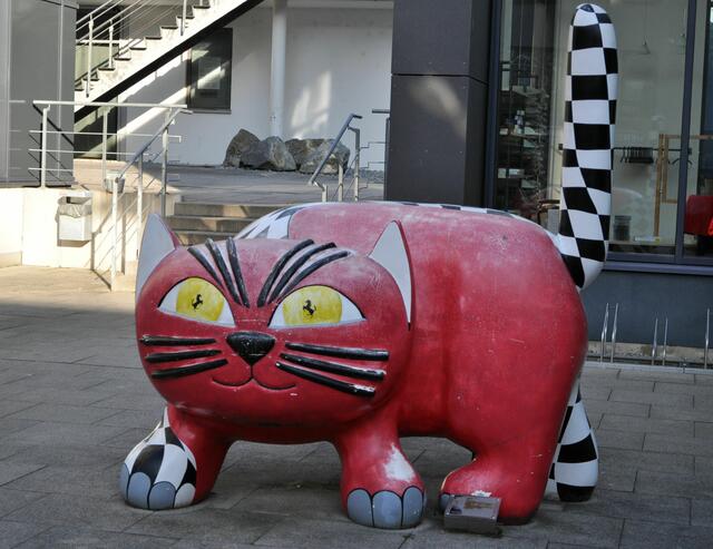 Foto: Daniela Somers