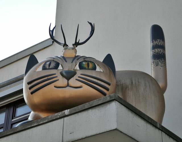 Ein Rälling? Oder doch ein Wolperdinger? | Foto: Daniela Somers