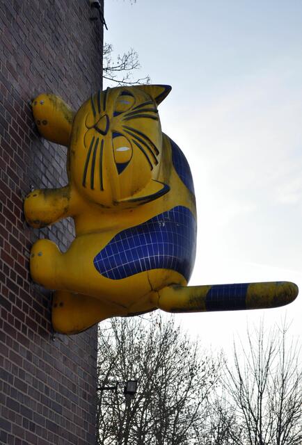 Manchmal gehen die Rällinge die glatte Wand rauf | Foto: Daniela Somers