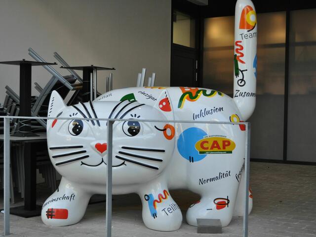 Foto: Daniela Somers