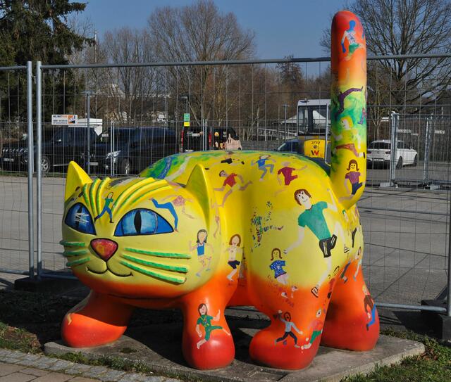 Foto: Daniela Somers