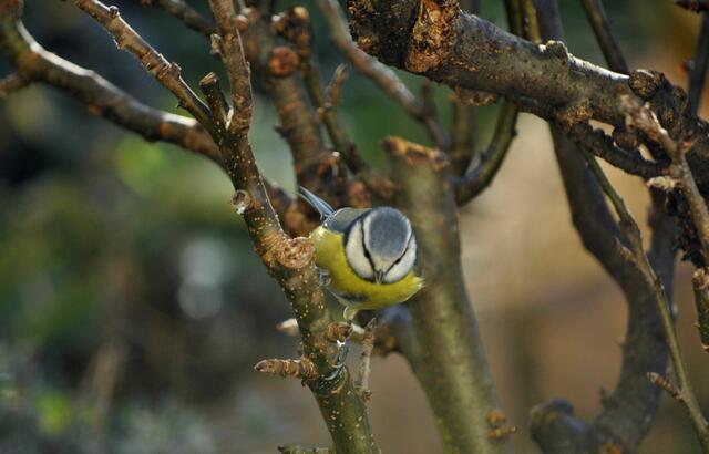 Bewegt sich da unten was? | Foto: Daniela Somers