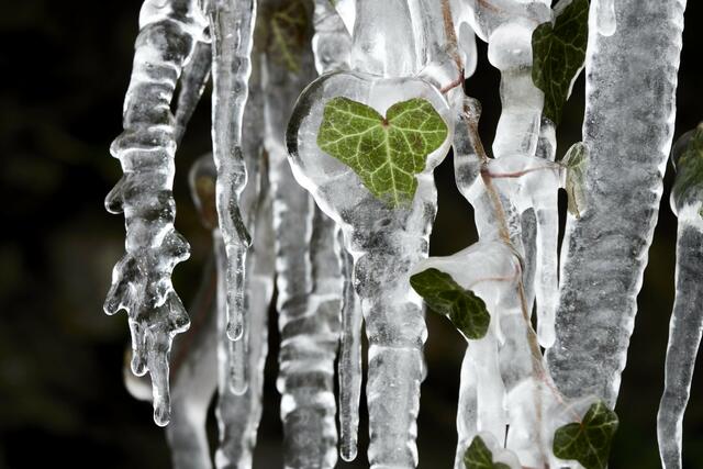 Das Gewinnerbild des Fotogewinnspiel "Eiszeit" kommt von Klaus Beck aus Künzelsau.  | Foto: Klaus Beck