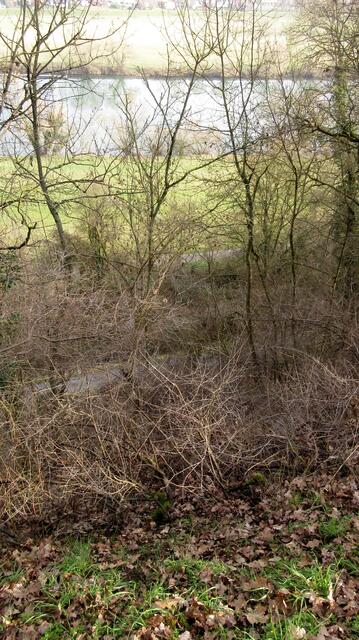 Hier sieht man alle drei Wege an dem Osthang. Deshalb wählten die Genießer oben die Sonne, einer ging den Neckarsteig direkt zurück zum Bahnhof und die eiligen nutzten unten den schattigen Radweg