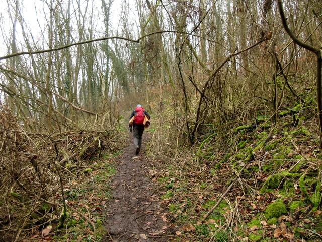 Ursprünglich oder verwildert? Egal, die Wege sind oft wunderschön naturnah