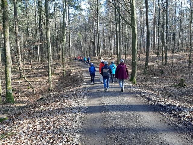 zurück nach Sternenfels mit Sonnenschein