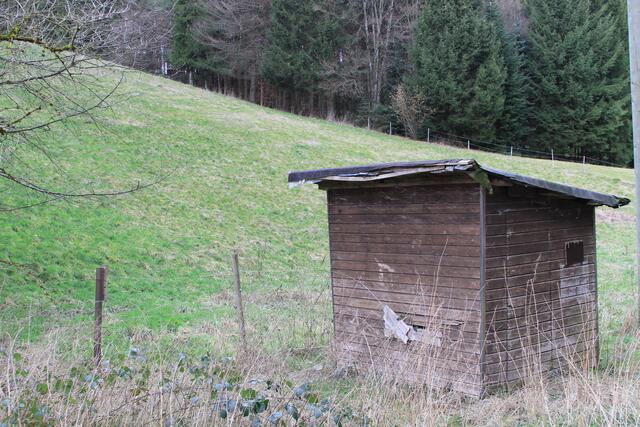 ganz schön alt | Foto: Ralf Röser