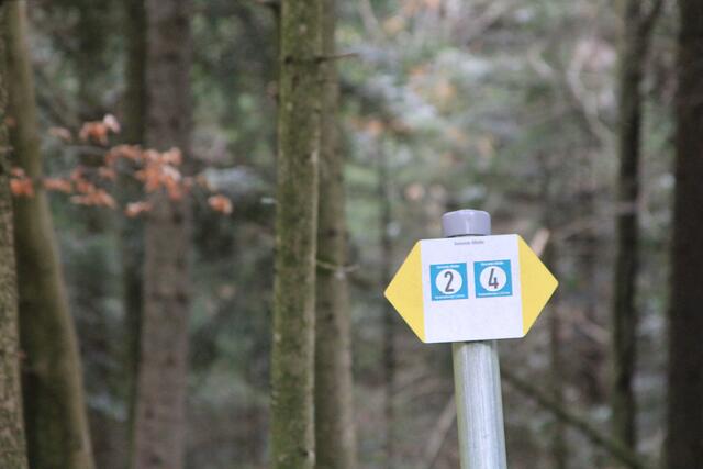 wo lang? | Foto: Ralf Röser