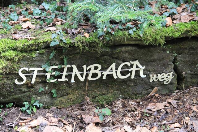 auf dem Rückweg | Foto: Ralf Röser