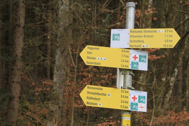 unendlich viel Wege | Foto: Ralf Röser