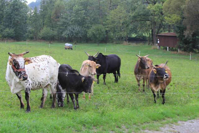 hast du was zu Essen dabei? | Foto: Ralf Röser