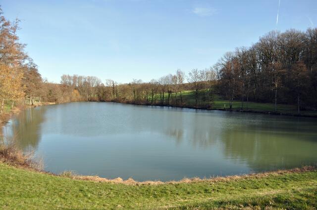 Ein schöner kleiner See, aber leider gibts Verbotsschilder | Foto: Daniela Somers