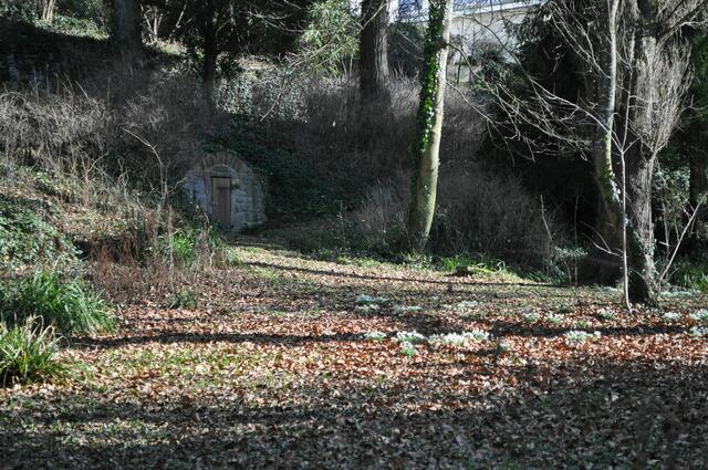 Wo es da wohl hingeht? | Foto: Daniela Somers