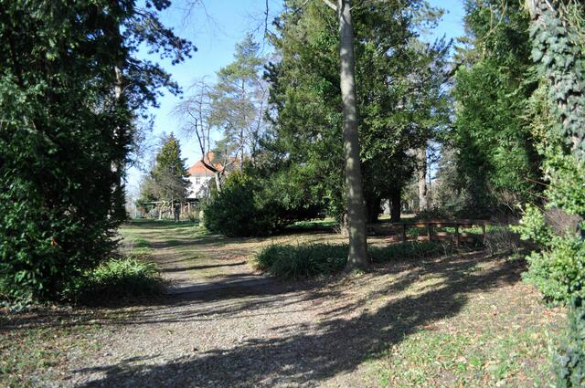 Weg durch den Park | Foto: Daniela Somers