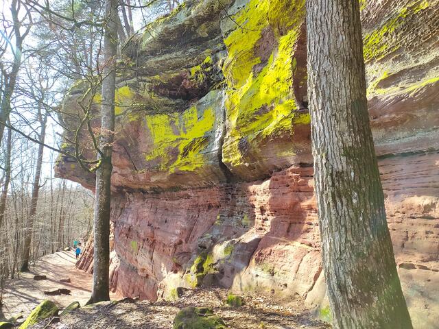 Hier kann man die Größe auch gut erkennen