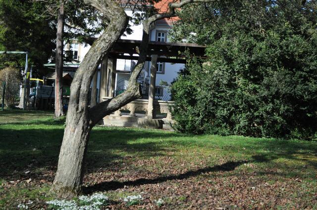 Blick vom Park zum Schloss | Foto: Daniela Somers