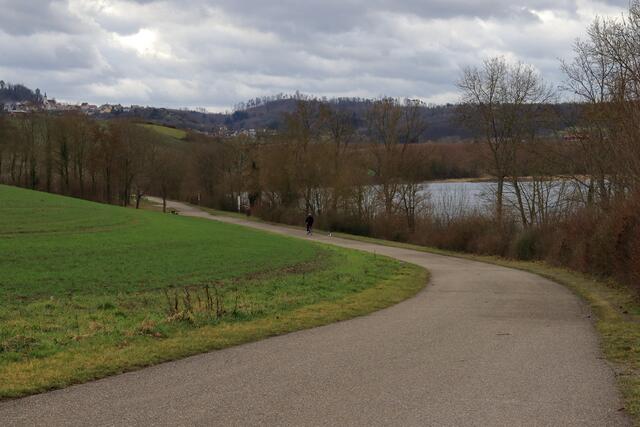 Grauer Tag am See 23
