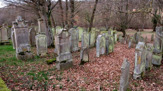 Am jüdischen Friedhof funktionierte weder die App, noch der QR-Code. Auf einen zweiten Handy gab es keine Probleme