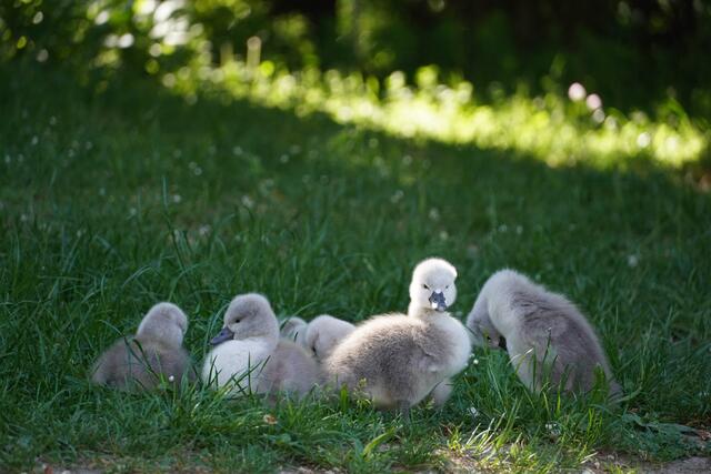 Schnell macht euch hübsch - Fotografen! | Foto: Moni Bordt
