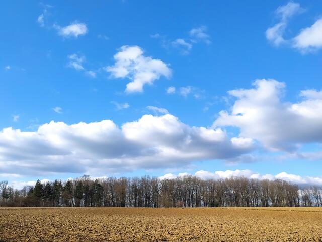 Dieser blaue klare Himmel mit den schönen Wolken macht jede Landschaft sehenswert. 