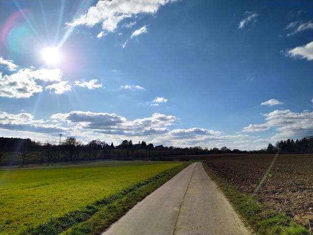 Hier geht's zur Sonne🌞 - zurück nach Rappenau 😉