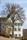 Rathaus im Jugendstil