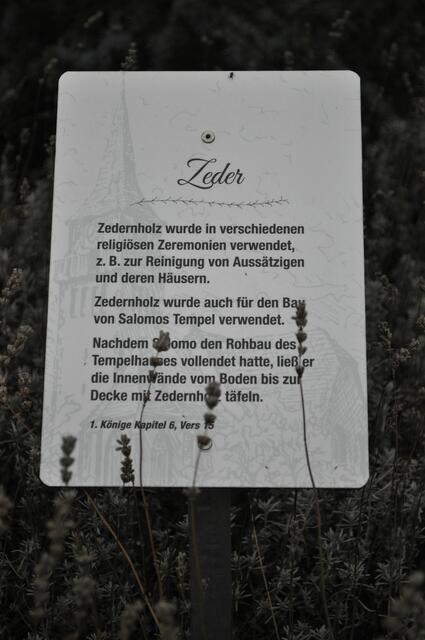 Eines der vielen Schilder im Kirchengarten. | Foto: Daniela Somers
