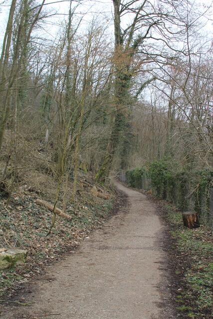 Start Neumäurerstr. SHA in die Wildnis | Foto: Ralf Röser