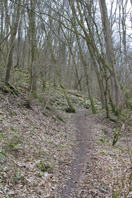 und weiter hoch | Foto: Ralf Röser