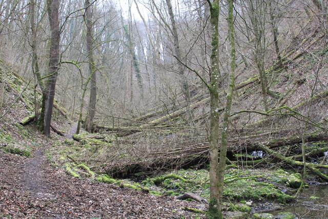 weiter gehts | Foto: Ralf Röser