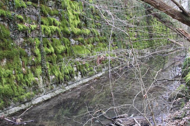 Riesen Mauer | Foto: Ralf Röser