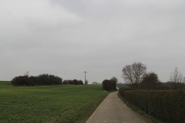 dann weiter Richtung Ohrenklinge | Foto: Ralf Röser