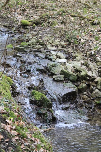 Schleifbach | Foto: Ralf Röser